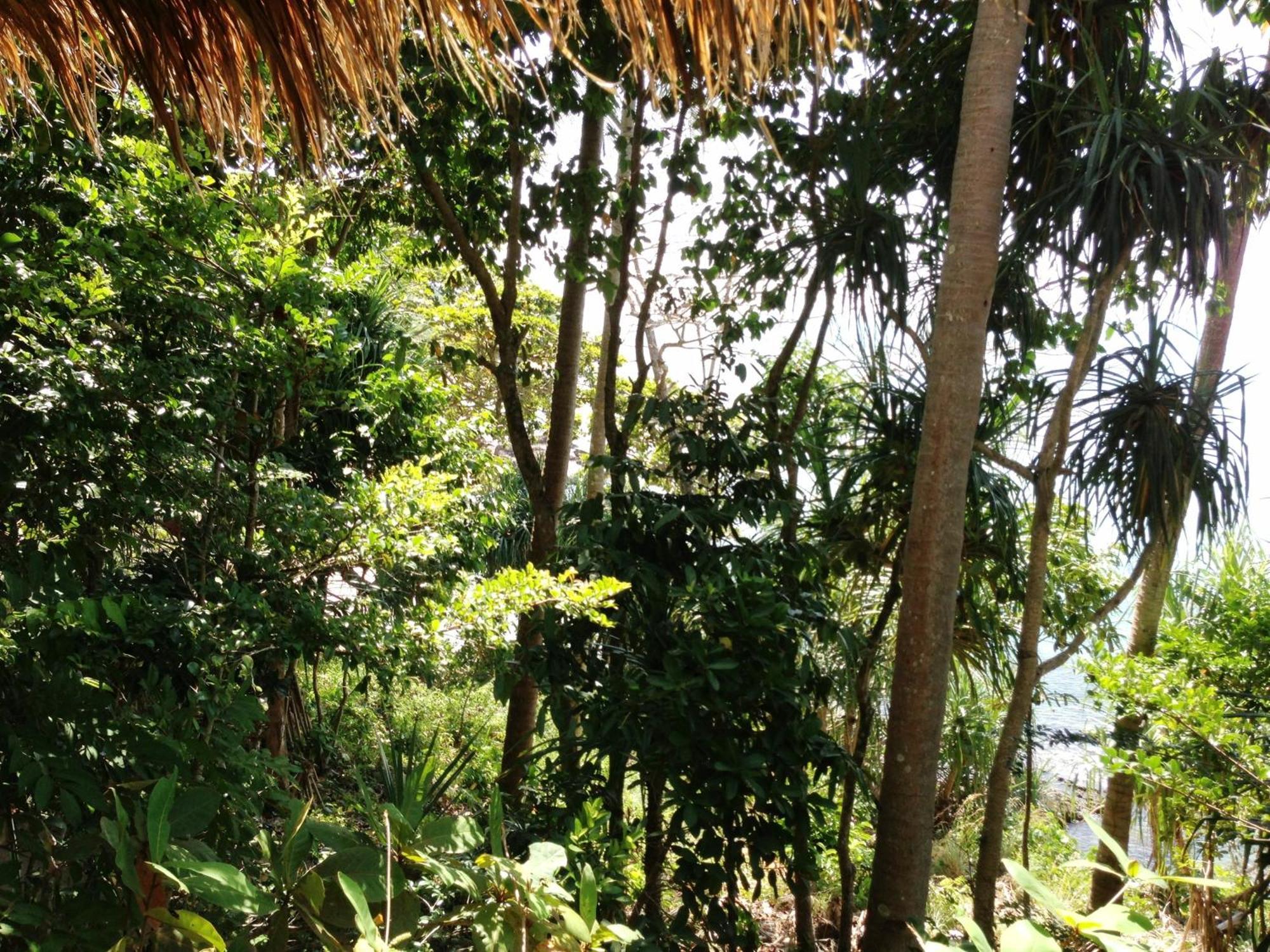 The Narima - Sha Plus Ko Lanta Exterior foto